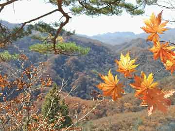 邳州城南医院有没有打胎药（城南医院有哪些科室）